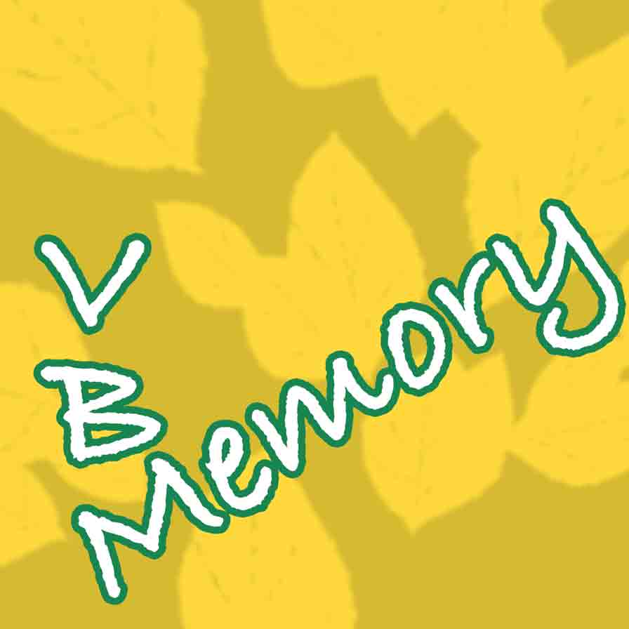 VBMemory